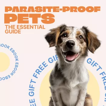 Safest Parasite Prevention for Dogs: Vet-Backed Tips